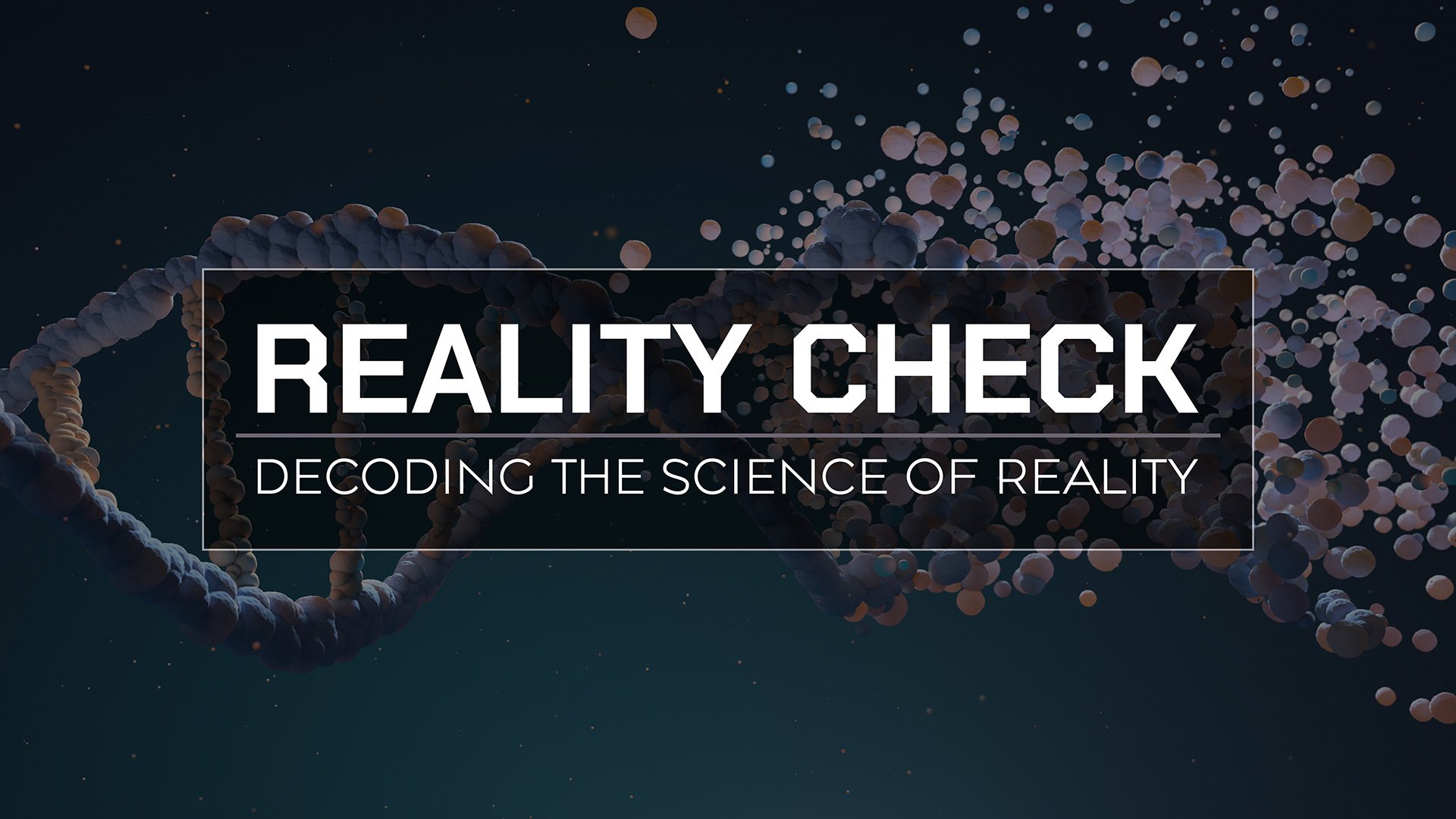 Reality Check